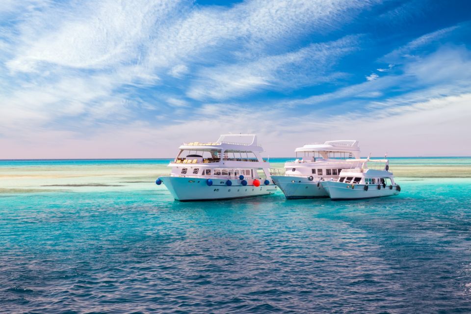 Hurghada Red Sea Dolphin Boat Trip